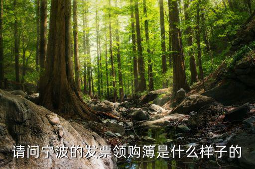 發(fā)票領用簿什么樣子，會計發(fā)票領購沒經(jīng)驗想請問領購的發(fā)票時什么樣的有金額顯示嗎