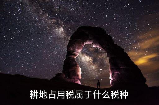 耕地占用稅屬于什么稅，耕地占用稅屬于什么稅種