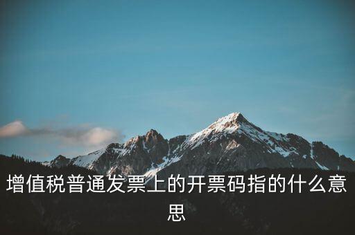 稅控盤開票碼是什么，增值稅普通發(fā)票上的開票碼指的什么意思