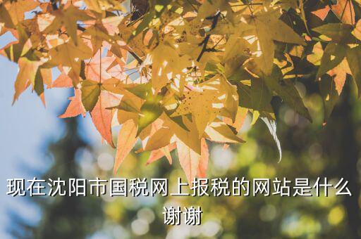 國稅交稅的網(wǎng)站是什么，現(xiàn)在沈陽市國稅網(wǎng)上報稅的網(wǎng)站是什么 謝謝