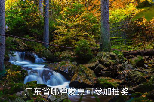 什么發(fā)票可以抽獎(jiǎng)，廣東省哪種發(fā)票可參加抽獎(jiǎng)