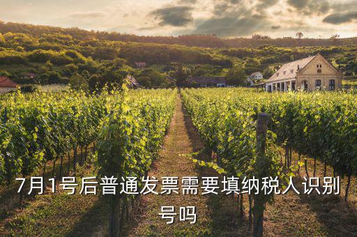 7月1號后發(fā)票內(nèi)容是什么意思，7月1號后普通發(fā)票需要填納稅人識別號嗎