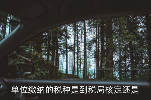 什么時候 稅種核定，單位繳納的稅種是到稅局核定還是