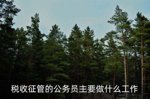 稅收管理員干什么的，稅收征管的公務(wù)員主要做什么工作
