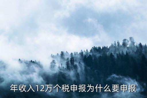 為什么12萬(wàn)要申報(bào)表，每個(gè)月都已繳納為什么年收入超過12萬(wàn)還需要再申報(bào)