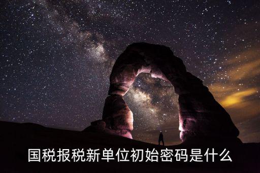 國稅申報(bào)登錄密碼是什么，抄報(bào)稅密碼應(yīng)該是什么啊
