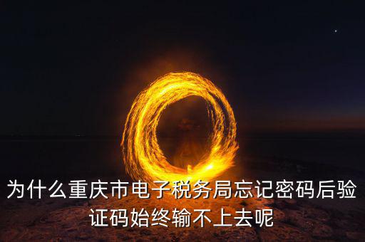 重慶電子稅務(wù)局什么時間開始，重慶渝北區(qū)地稅局就是一支路那個的作息時間是幾點到幾點啊