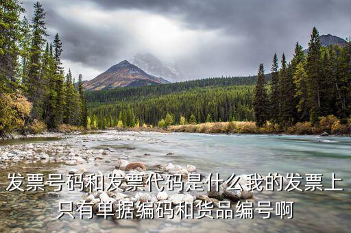 專票發(fā)票號是什么，發(fā)票號碼是指哪個號碼