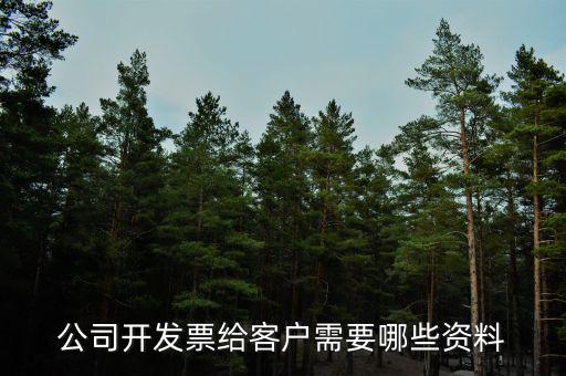 公司開票需要什么資料，請(qǐng)問開發(fā)票需要什么資料