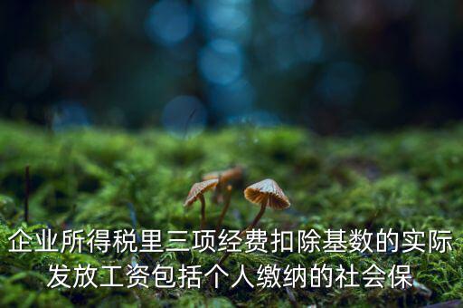 企業(yè)所得稅扣除基數(shù)指什么，企業(yè)所得稅里三項(xiàng)經(jīng)費(fèi)扣除基數(shù)的實(shí)際發(fā)放工資包括個(gè)人繳納的社會(huì)保