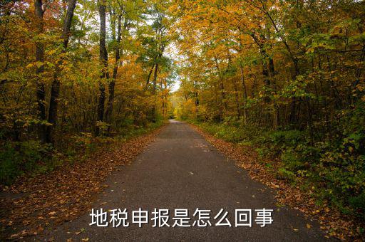 地稅為什么每月申報(bào)，想問下地稅每月都要申報(bào)的我剛接觸這個(gè)不太懂公司也是新開的