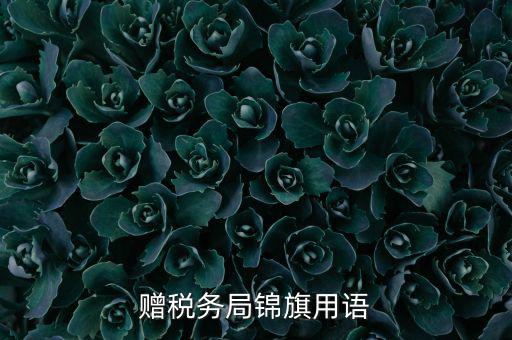 贈送稅務所錦旗寫什么，贈稅務局錦旗用語