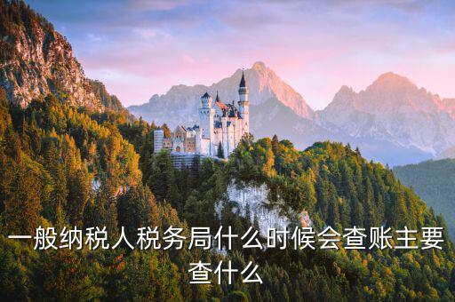 稅局什么時間搖號稽查，一般納稅人稅務(wù)局什么時候會查賬主要查什么