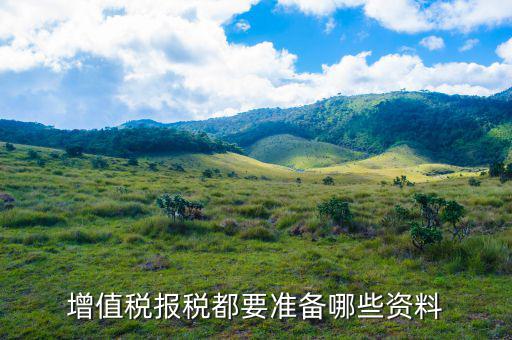 報(bào)稅需要帶什么資料，增值稅報(bào)稅都要準(zhǔn)備哪些資料