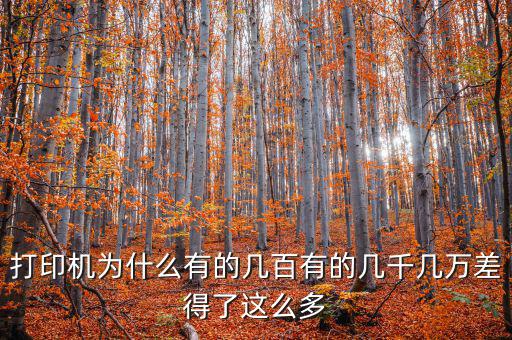 發(fā)票打印機(jī)為什么這么貴，為什么針式打印機(jī)還是那么貴