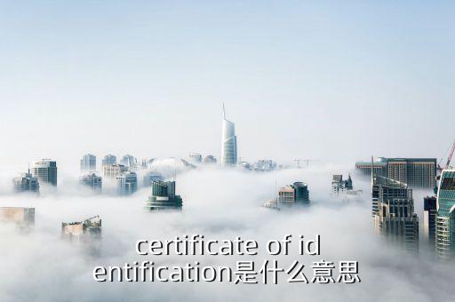 納稅人證書是什么意思，具有納稅人資格是什么意思