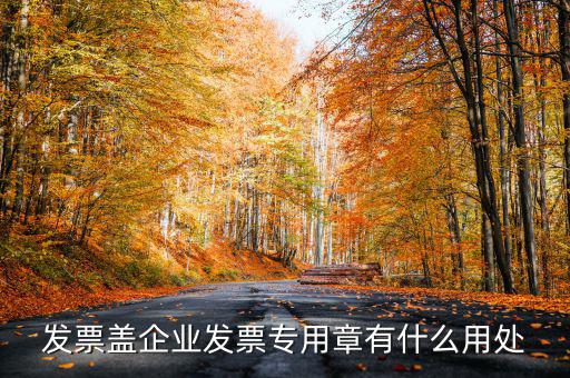發(fā)票專用章有什么用，公司的發(fā)票專用章是干嘛用的