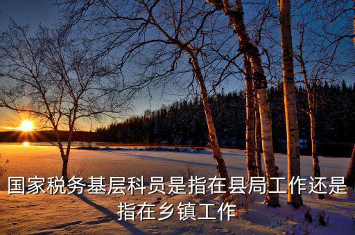 稅務(wù)系統(tǒng)的基層指什么，國(guó)家稅務(wù)基層科員是指在縣局工作還是指在鄉(xiāng)鎮(zhèn)工作
