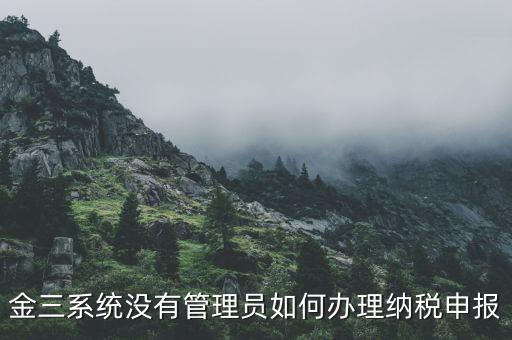 金三申報申報什么意思，申報是什么意思