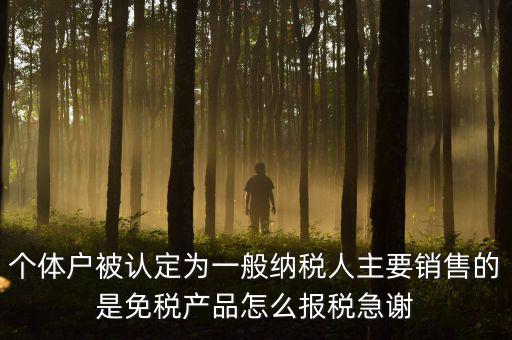 個(gè)體戶(hù)被認(rèn)定為一般納稅人主要銷(xiāo)售的是免稅產(chǎn)品怎么報(bào)稅急謝