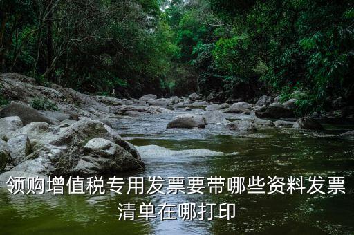 公司領(lǐng)票需要什么資料，領(lǐng)購增值稅專用發(fā)票要帶哪些資料發(fā)票清單在哪打印