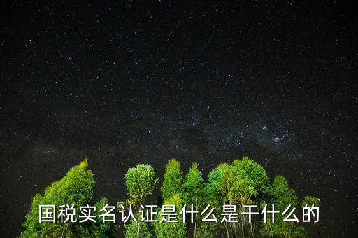 國稅實名制認證要什么手續(xù)，國稅實名認證是什么是干什么的