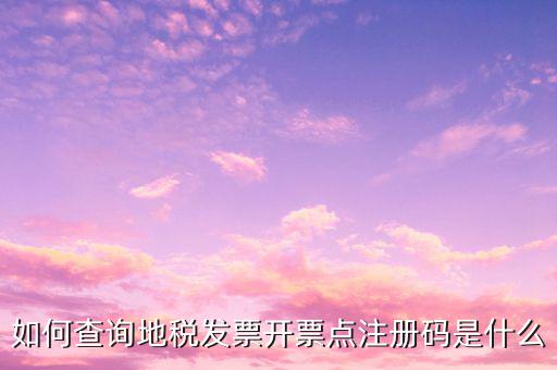 河北地稅發(fā)票的查詢碼是什么，如何查詢地稅發(fā)票開票點注冊碼是什么