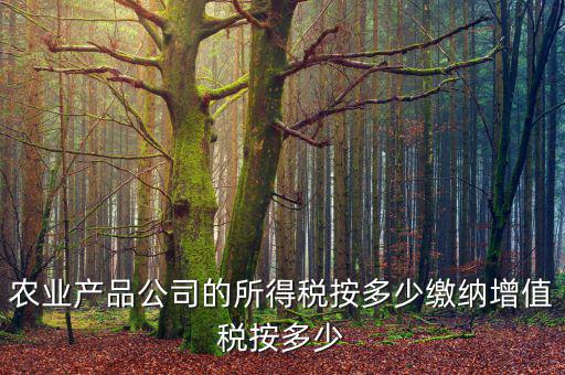 農業(yè)公司要交什么稅，江蘇省農業(yè)推行公司要交甚么稅