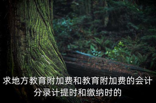地方教育費(fèi)附加是什么意思，教育費(fèi)附加代表什么意思