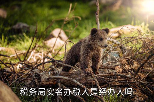 辦稅負責人是什么意思，現(xiàn)在實行的辦稅人員實名登記其中的財務負責人辦稅人員發(fā)票經(jīng)辦人