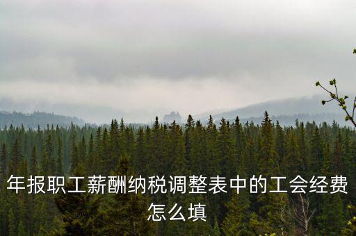 工會(huì)經(jīng)費(fèi)應(yīng)稅項(xiàng)填什么，網(wǎng)上報(bào)稅時(shí)又多了一項(xiàng)工會(huì)經(jīng)費(fèi)怎樣填寫(xiě)計(jì)算