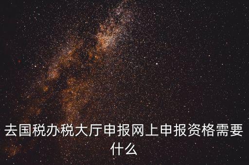 國(guó)稅網(wǎng)上申報(bào)用什么，去國(guó)稅辦稅大廳申報(bào)網(wǎng)上申報(bào)資格需要什么