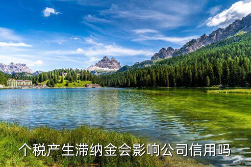 稅收滯納金有什么影響，地稅報稅逾期產(chǎn)生滯納金會對公司有甚么影響