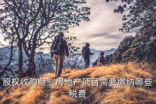 股權收購商業(yè)房地產(chǎn)項目需要繳納哪些稅費