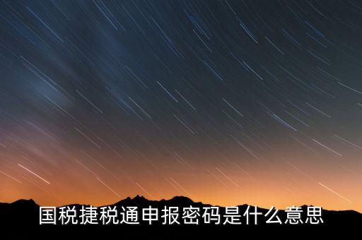 國稅申報登陸密碼是什么意思，國稅第一次網(wǎng)上申報的登陸密碼是什么