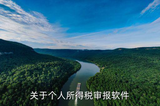 申報(bào)個(gè)稅的APP叫什么，申報(bào)個(gè)稅軟件