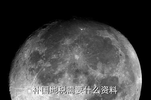 深圳國稅補報稅需要什么資料，補國地稅需要什么資料