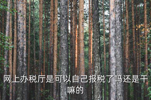 什么是網(wǎng)上辦稅服務(wù)廳，電子申報(bào)管理系統(tǒng)和網(wǎng)上辦稅大廳有什么不同的
