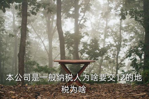 地稅12是什么稅，本公司是一般納稅人為啥要交12的地稅為啥