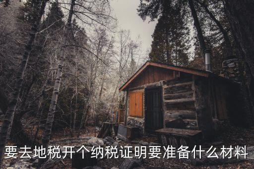辦理地稅需要什么資料，辦地稅需要什么東西