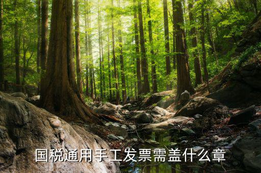 手工發(fā)票需注意什么，關(guān)于手工發(fā)票填開的問題