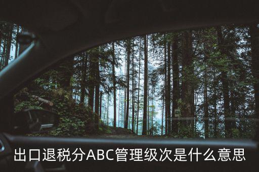稅務(wù)等級(jí)c是什么意思，稅收不能課及C和V部分 CV各是什么