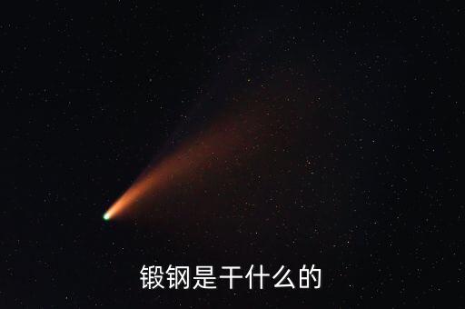 弘遠泰斯是干什么的，飛踏是干什么的