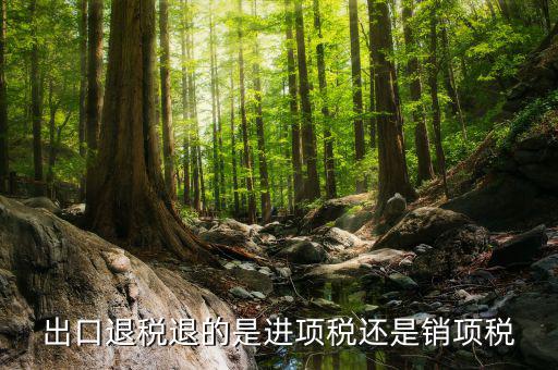 出口退稅退的是什么稅，出口退稅退的是進項稅還是銷項稅