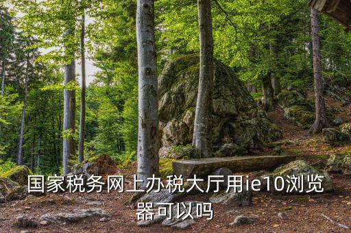國家稅務網(wǎng)上辦稅大廳用ie10瀏覽器可以嗎
