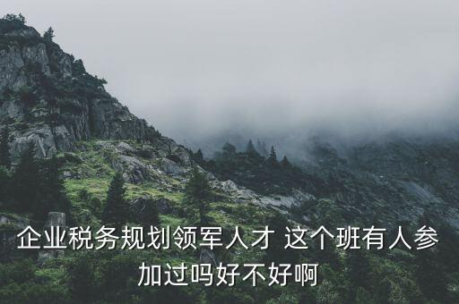稅務(wù)領(lǐng)軍人才做什么，常溫下超導(dǎo)體可用來做什么
