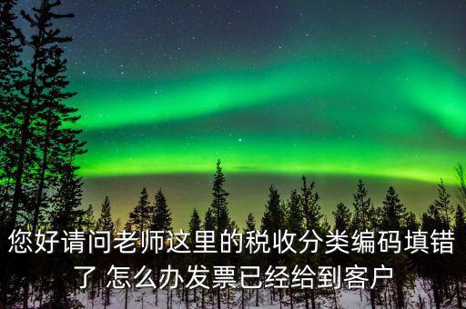 您好請(qǐng)問(wèn)老師這里的稅收分類編碼填錯(cuò)了 怎么辦發(fā)票已經(jīng)給到客戶