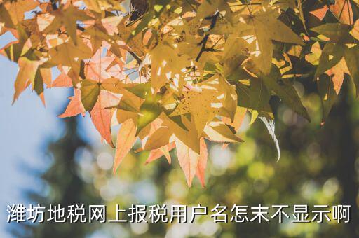 山東濰坊報稅平臺帳號是什么，地稅申報的用戶名和密碼是什么