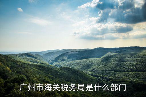 稅務(wù)總局國(guó)際司干什么，國(guó)家稅務(wù)總局是正部級(jí)