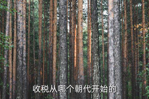 什么時候開始有稅收，稅是從什么時候開始的